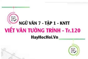 Soạn bài Viết văn bản tường trình trang 120 Ngữ văn lớp 7 Kết nối tri thức tập 1